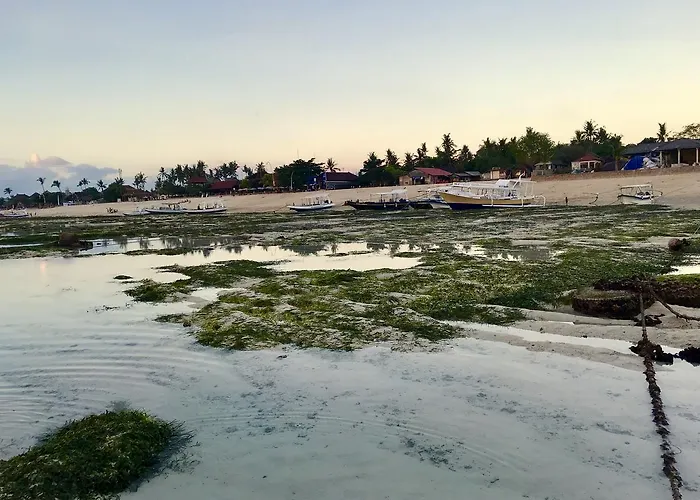 Tropical Tatil parkı